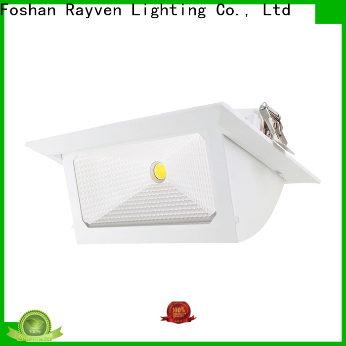 Rayven Latest warm white downlights manufacturers for home