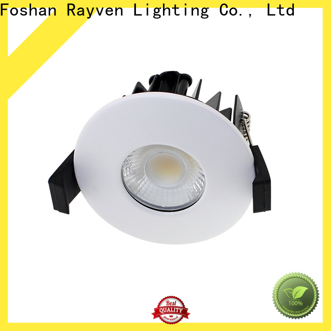 Rayven High-quality ip65 tilt downlight for business for bathroom