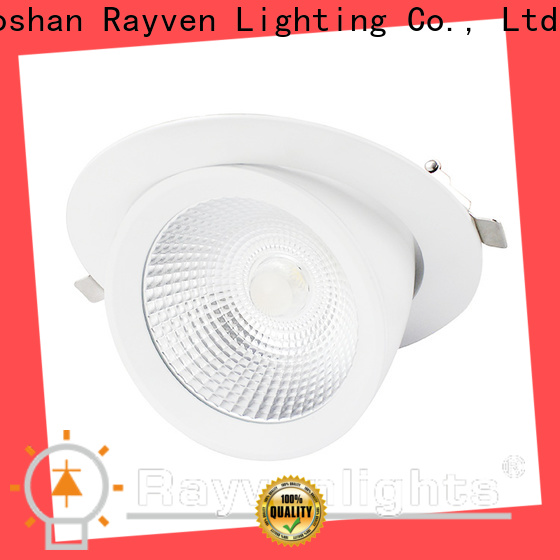 Rayven Top led lamp downlight supply for office