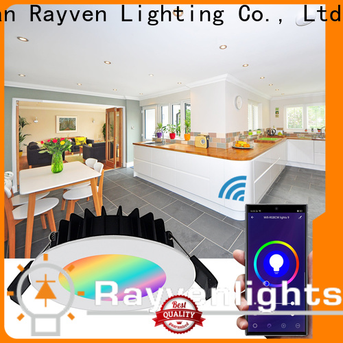 Rayven chrome led downlights controlled for business for warehouse