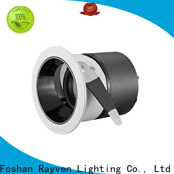 Rayven 20w43w double downlight factory for hotel