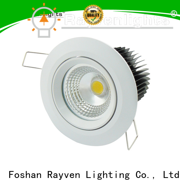 Rayven ODM can downlights for business for office