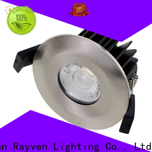 Rayven ODM best led downlights for business for shopping mall