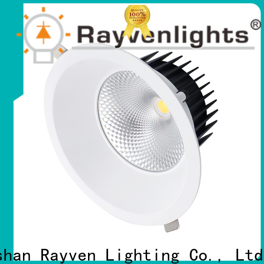 Rayven round best led downlights for business for office