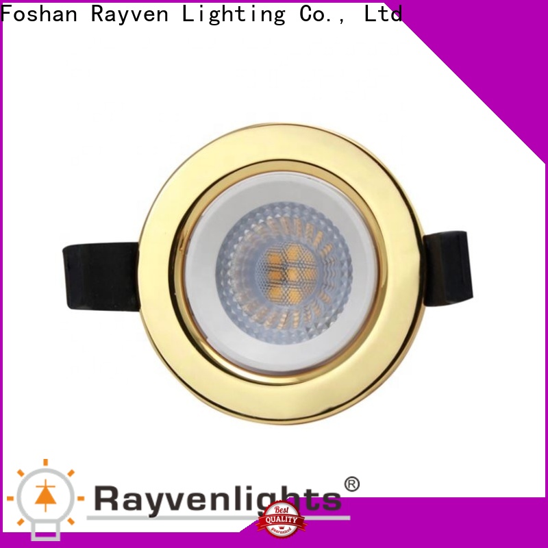 ODM downlight luminaire year factory for hotel