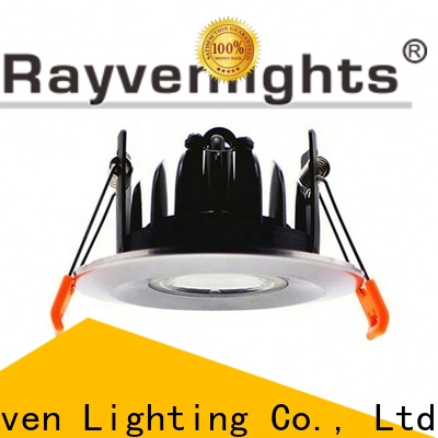 Rayven white bathroom downlights factory for office