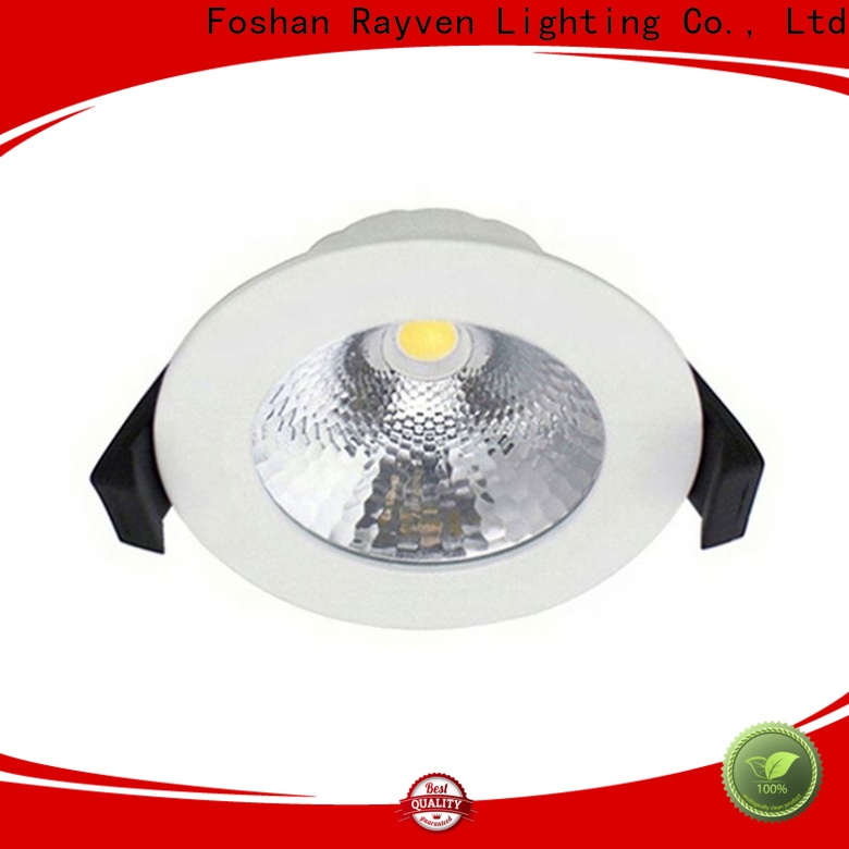 Rayven small led ceiling downlights factory for restaurants