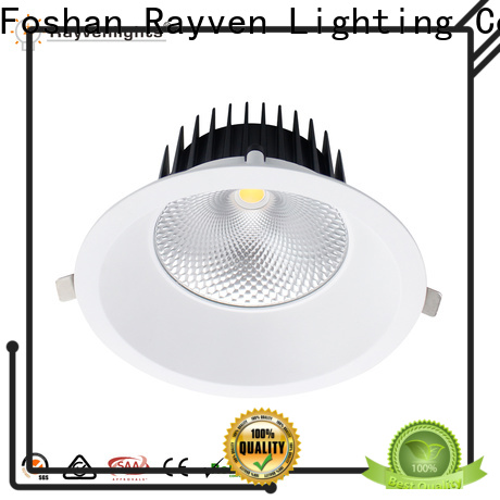Rayven Custom track lights singapore company for restaurants