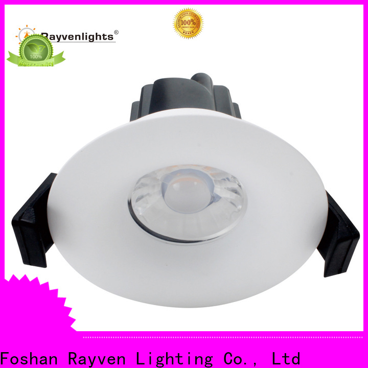 Rayven Rayven ceiling recessed downlight factory for restaurants