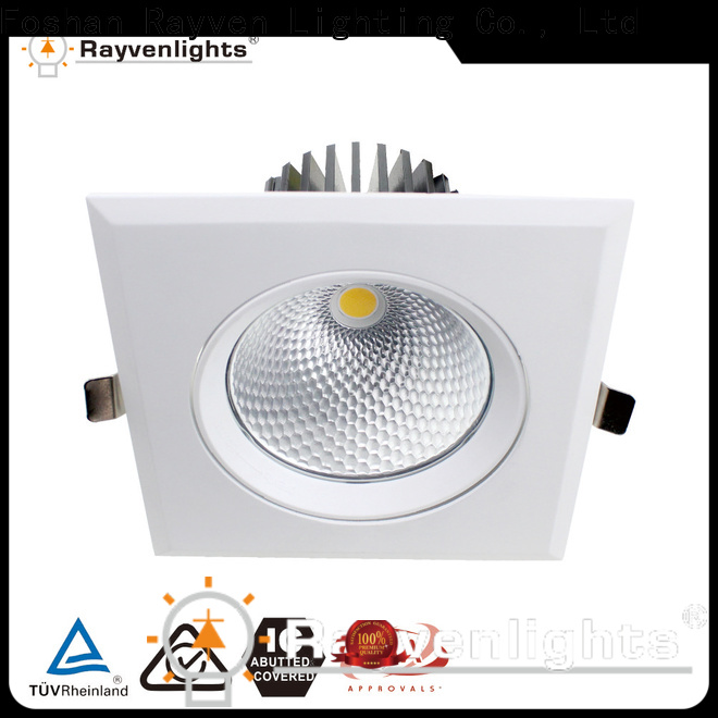 Rayven Bulk purchase 5000k shop light for business for restaurants