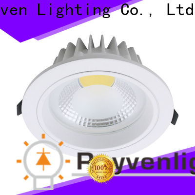 Rayven square downlight suppliers for restaurants