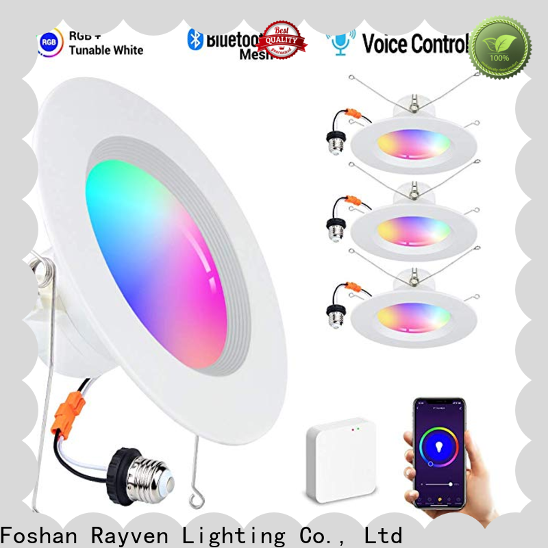 Rayven Custom cob led downlight for business for restaurants