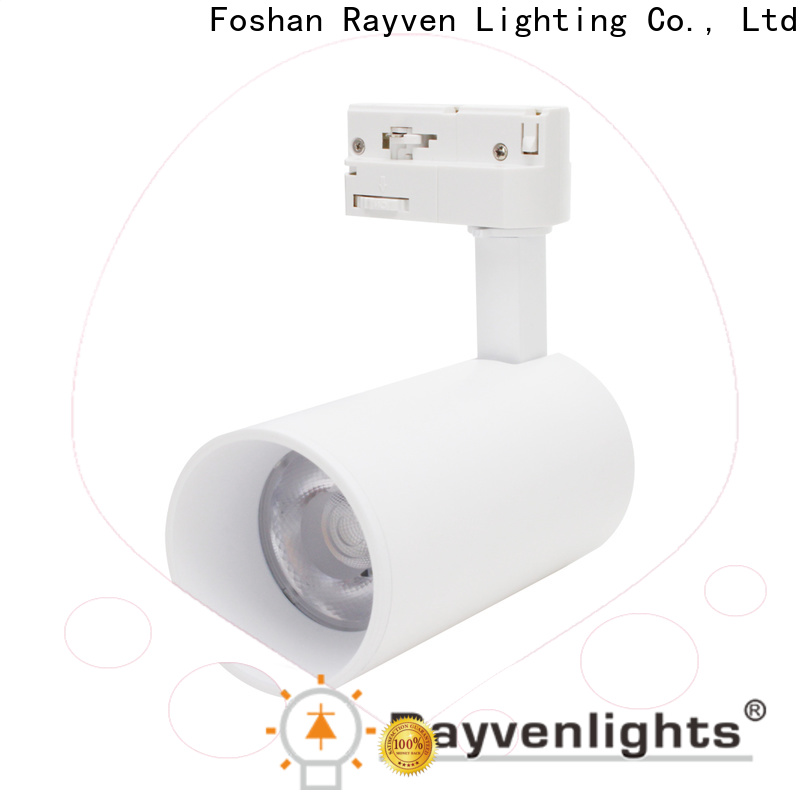 Rayven mount double downlight manufacturers for office