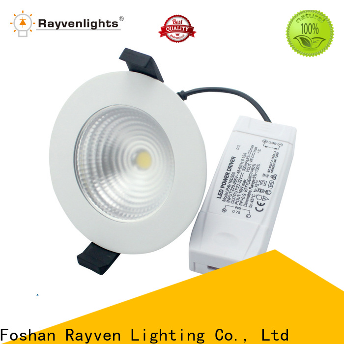 Custom waterproof recessed led downlight for business for restaurants