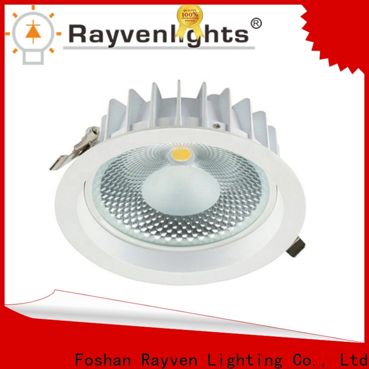 Rayven double led downlight manufacturers for office