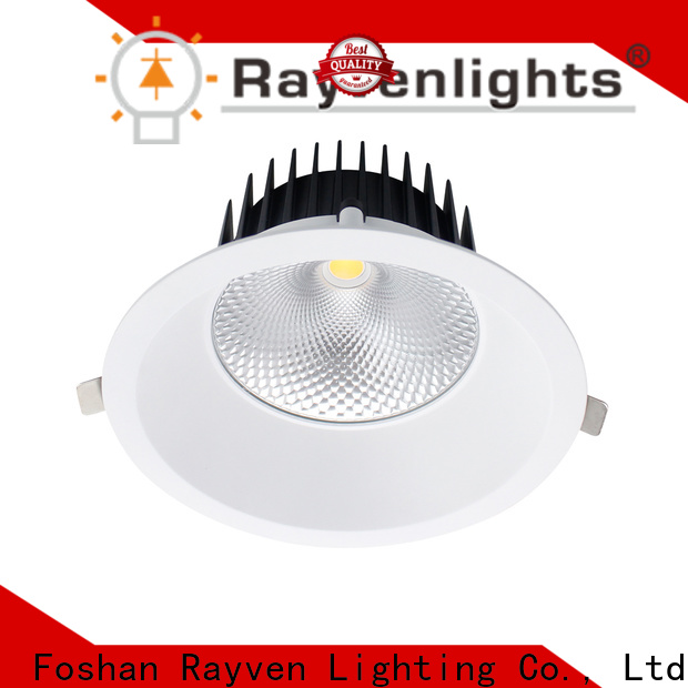 Rayven customizable downlight globes factory for hotel