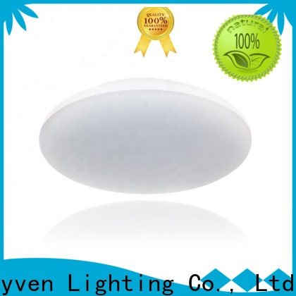 Rayven Rayven cordless ceiling light factory for restaurants