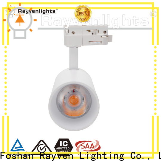Rayven commercial pendant lighting fixtures factory for shopping mall