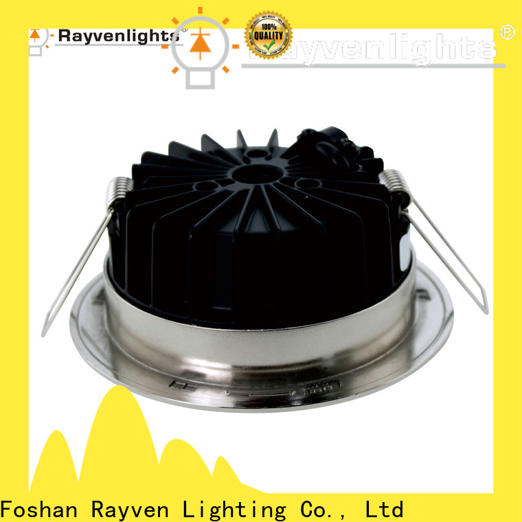 Rayven pvc 12w led downlight supply for restaurants