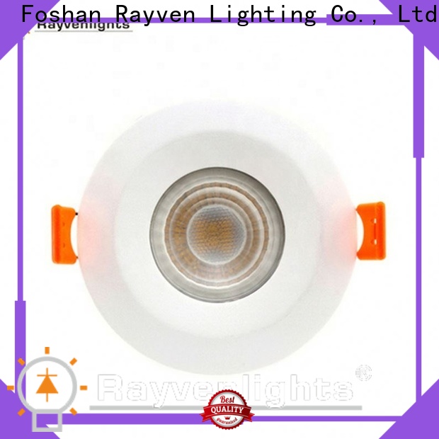 Rayven brass downlights company for office