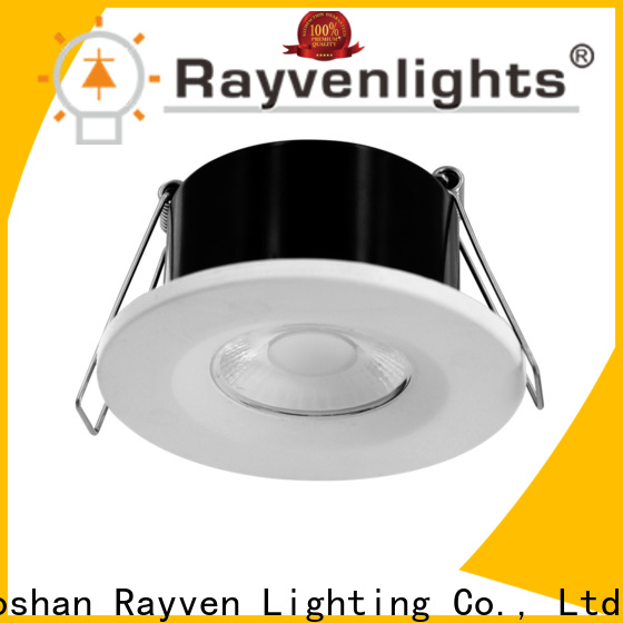 Rayven newdownlight downlight spot for business for warehouse